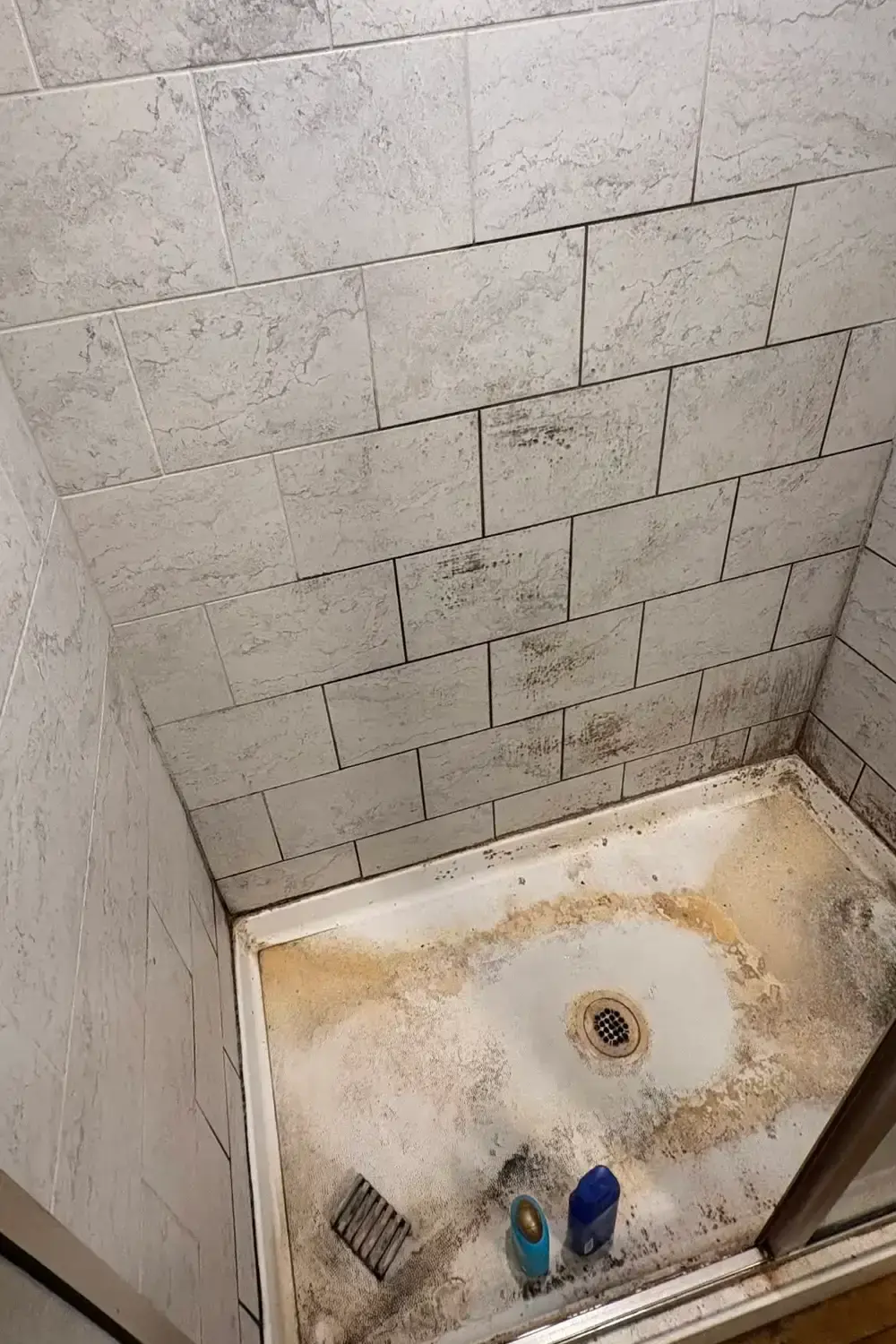 Cleaning services before