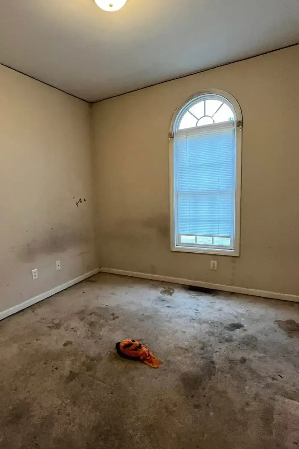 Flooring and carpet installation before
